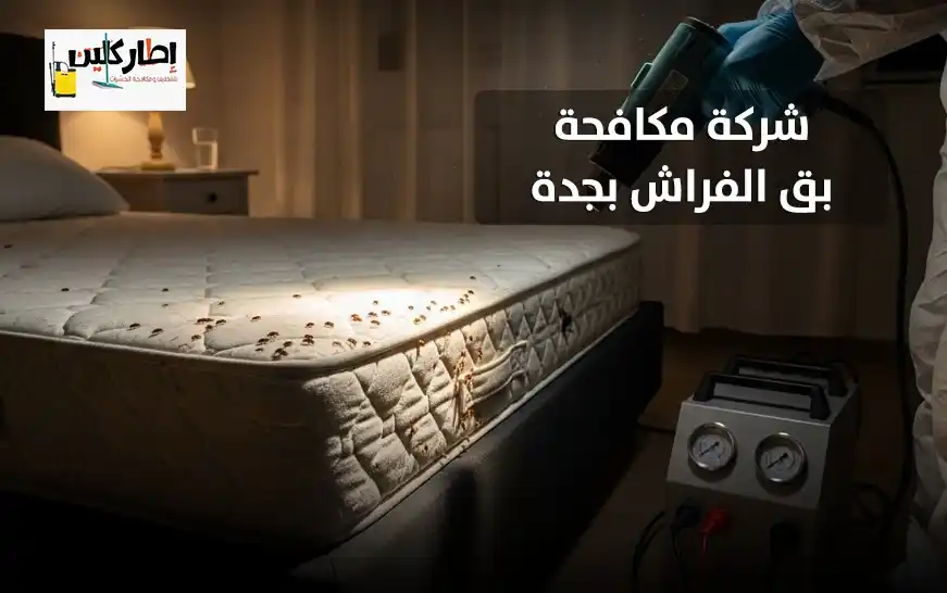 شركة مكافحة بق الفراش بجدة